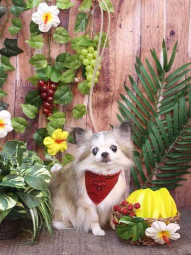 20230820クラウディアちゃん